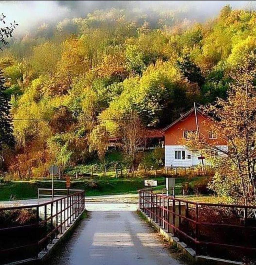 Turisticki Kompleks - Montana Тиентище Екстериор снимка