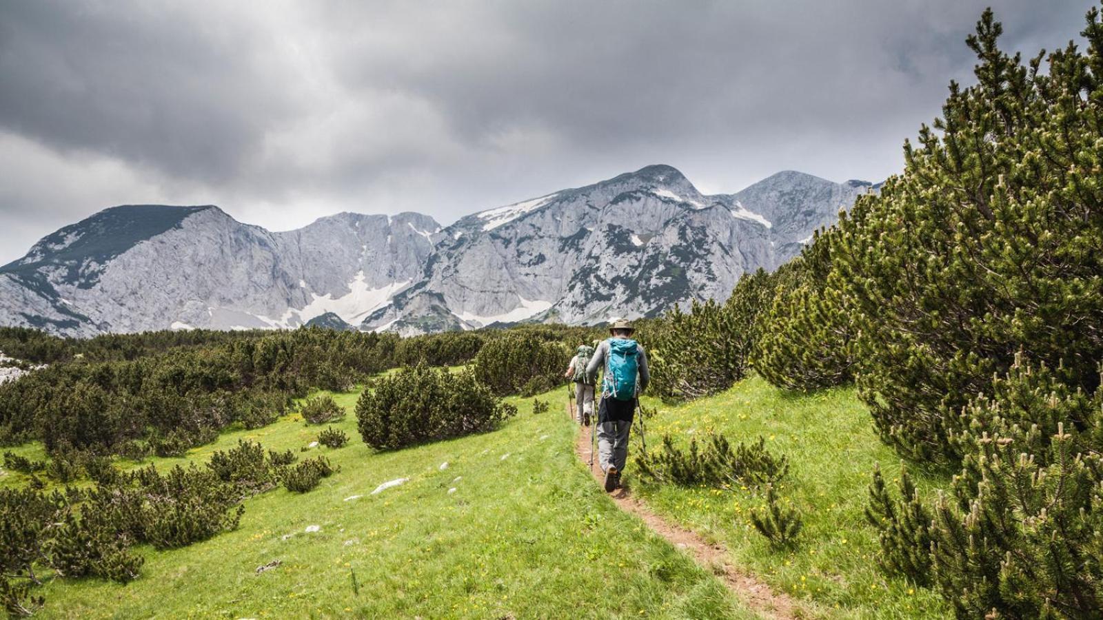 Turisticki Kompleks - Montana Тиентище Екстериор снимка